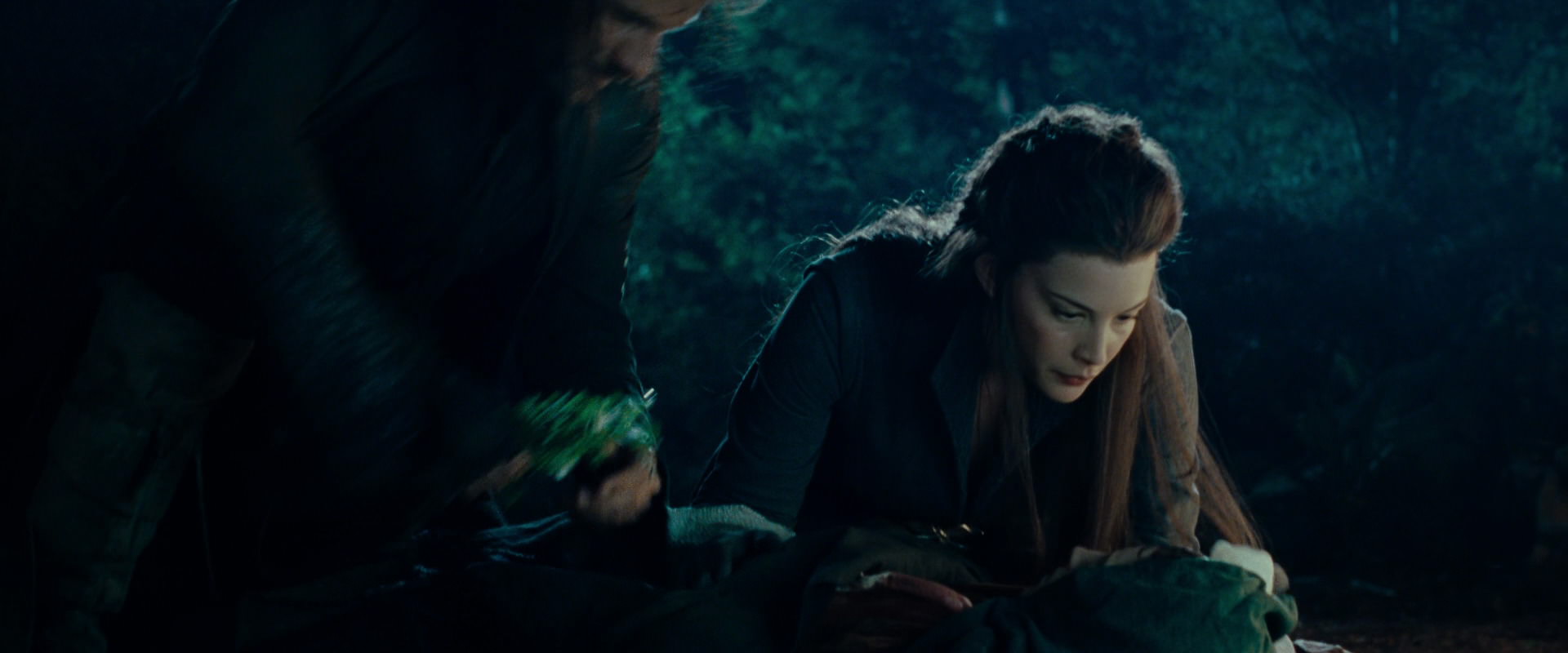 The Lord of the Rings: The Fellowship of the Ring (2001) movie still 9283