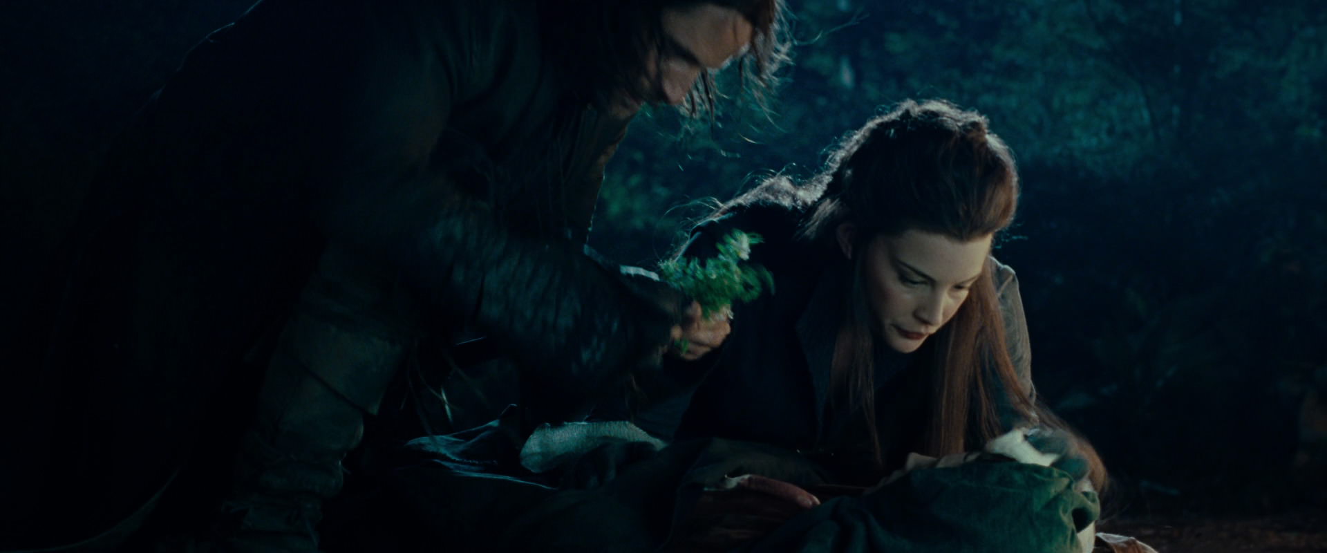 The Lord of the Rings: The Fellowship of the Ring (2001) HD screenshot 9284