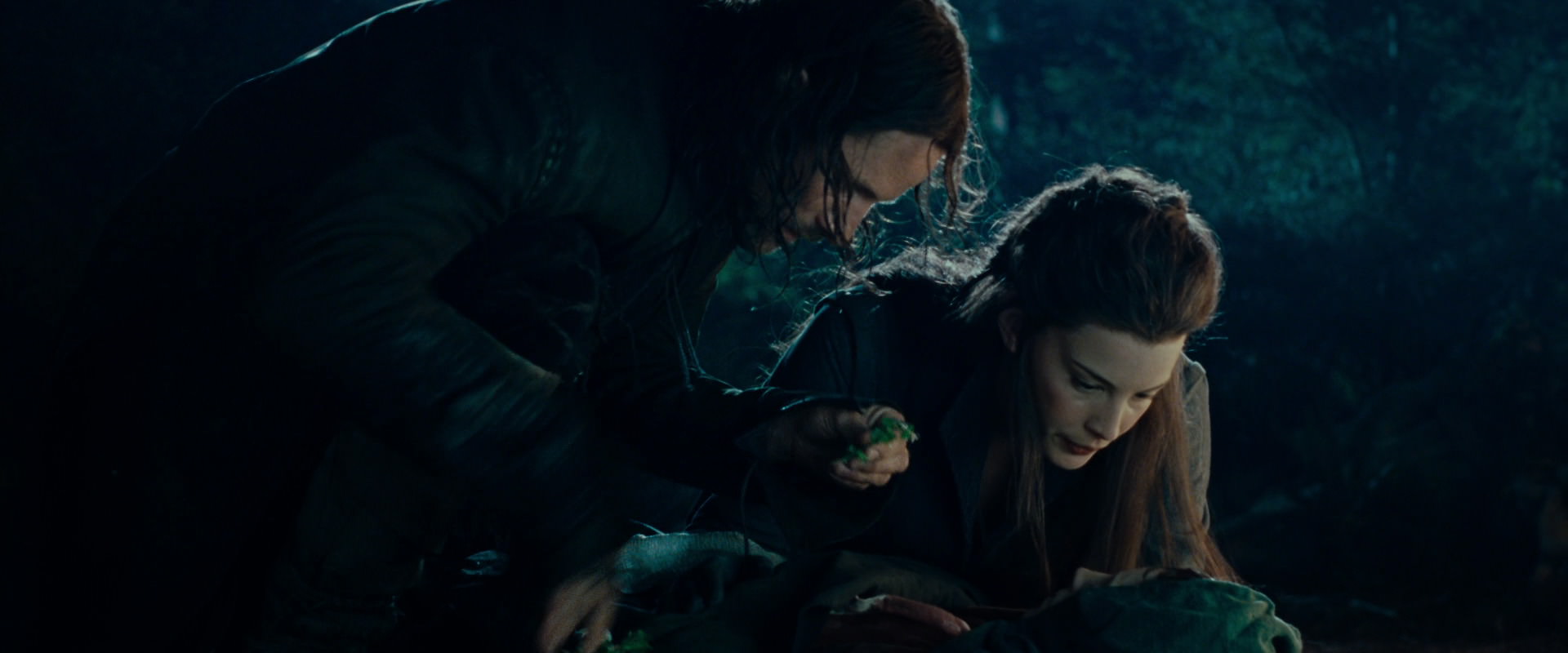 The Lord of the Rings: The Fellowship of the Ring (2001) screencap 9285