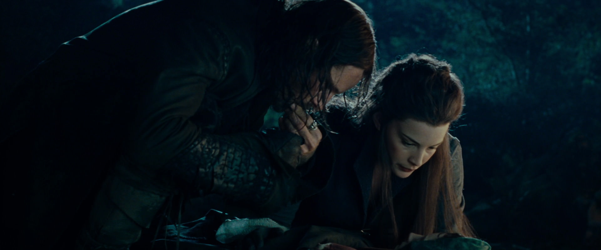 The Lord of the Rings: The Fellowship of the Ring (2001) HD screenshot 9287