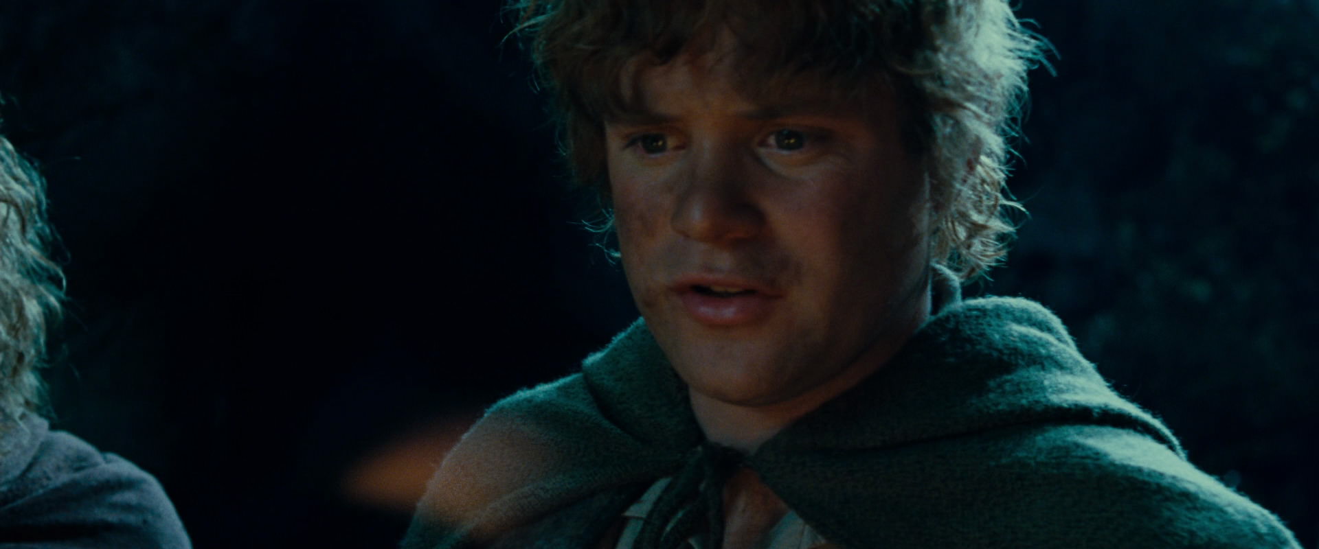 The Lord of the Rings: The Fellowship of the Ring (2001) screencap 9288