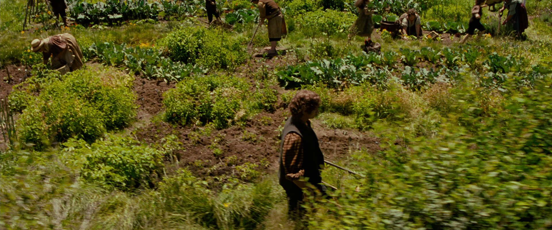 The Lord of the Rings: The Fellowship of the Ring (2001) HD screenshot 929