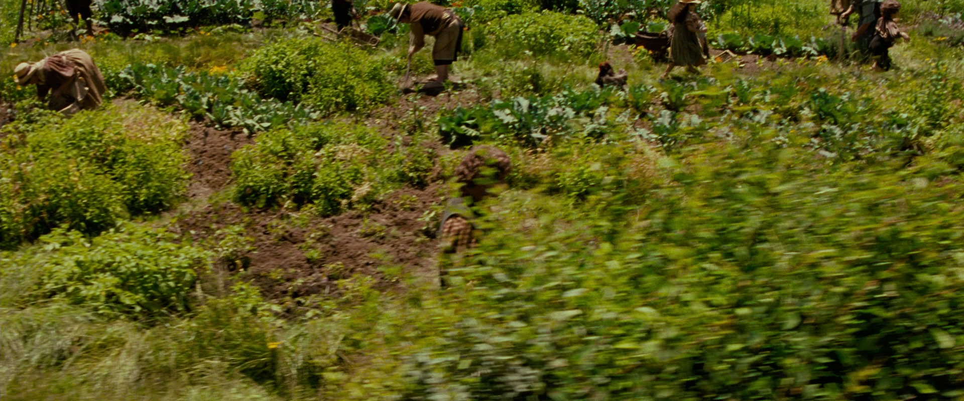 The Lord of the Rings: The Fellowship of the Ring (2001) screencap 930