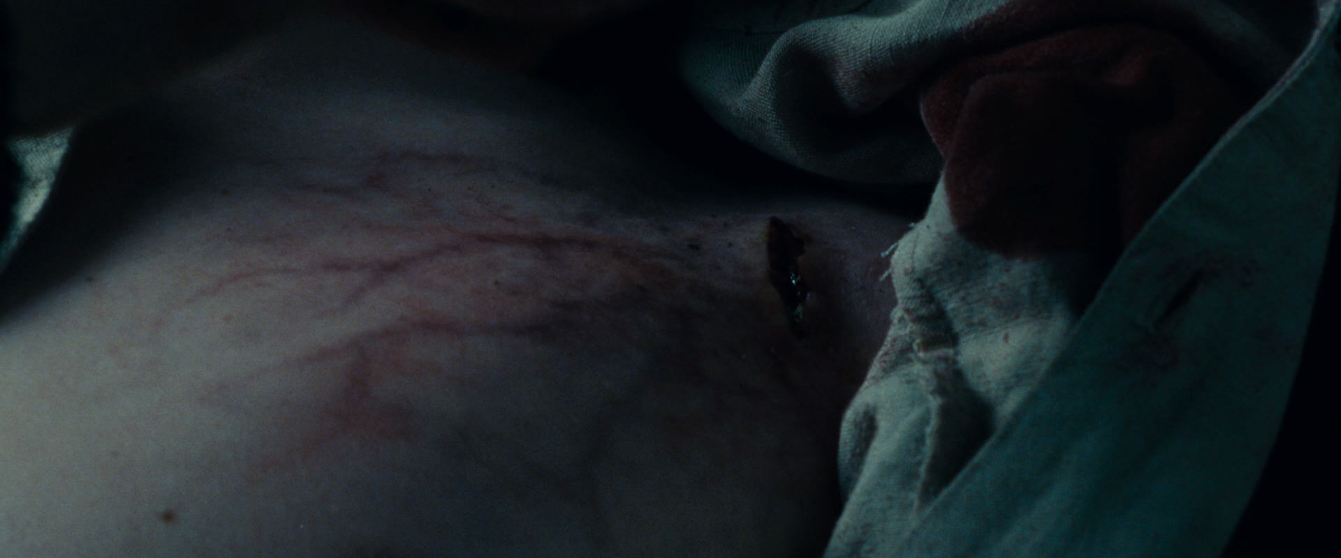 The Lord of the Rings: The Fellowship of the Ring (2001) screencap 9300