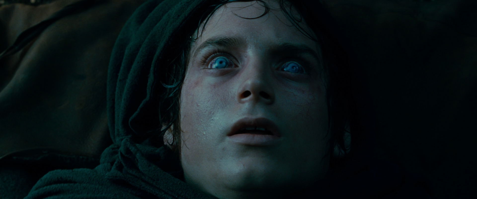 The Lord of the Rings: The Fellowship of the Ring (2001) screencap 9303