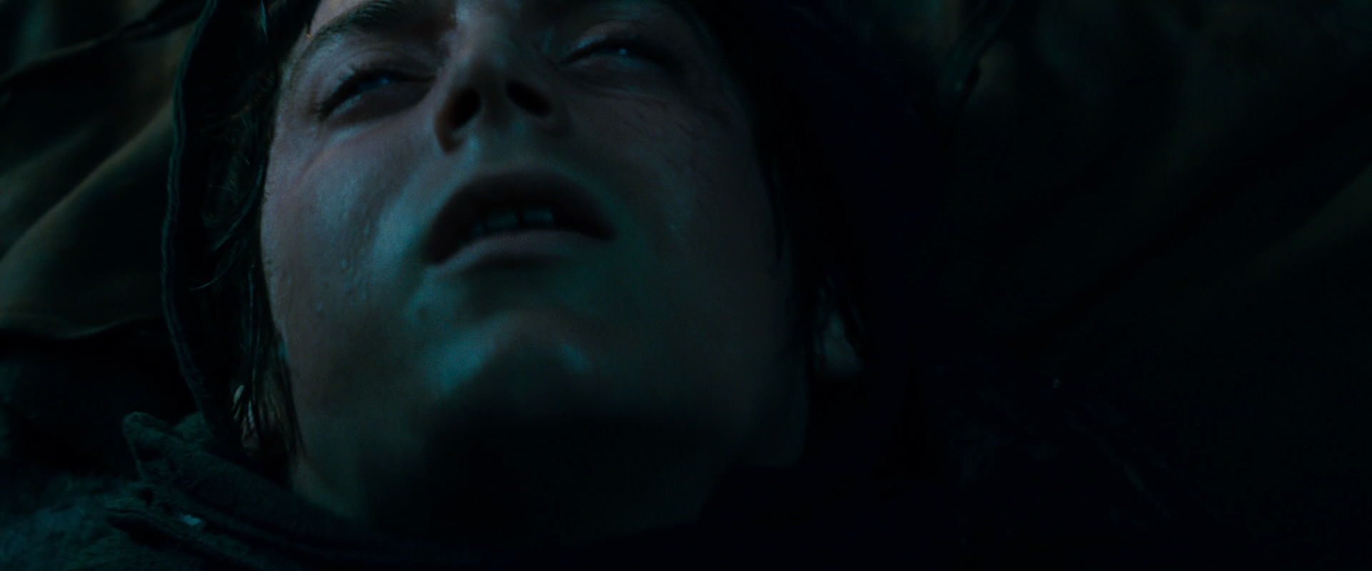 The Lord of the Rings: The Fellowship of the Ring (2001) screencap 9312