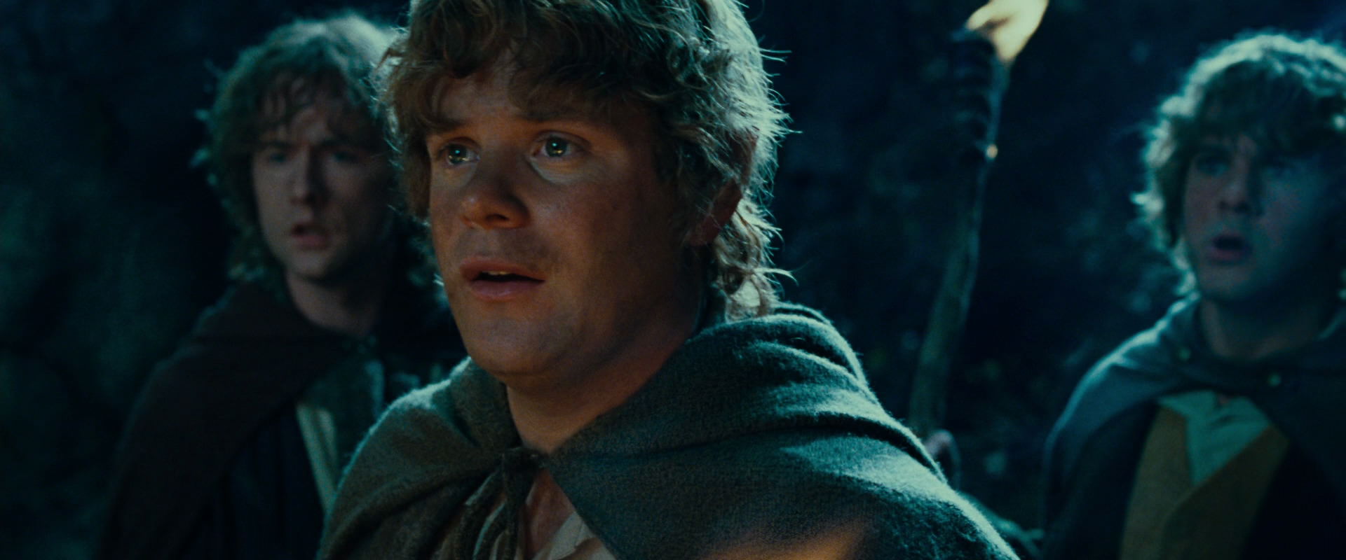 The Lord of the Rings: The Fellowship of the Ring (2001) movie still 9313