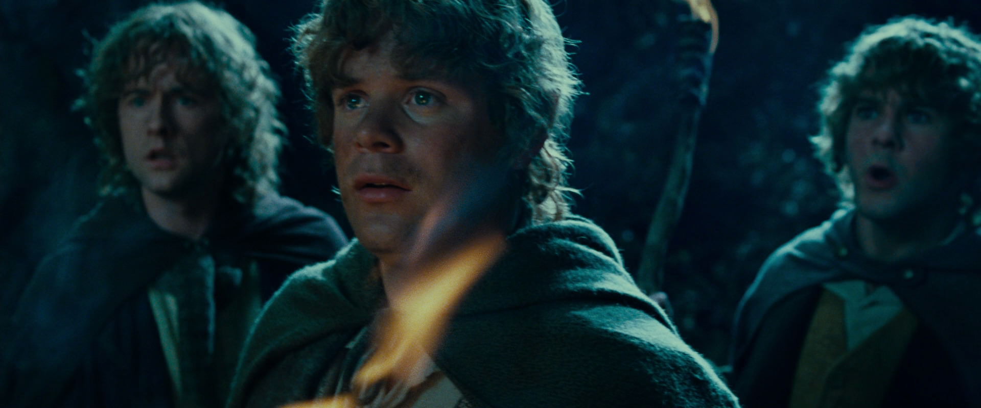 The Lord of the Rings: The Fellowship of the Ring (2001) HD screenshot 9314