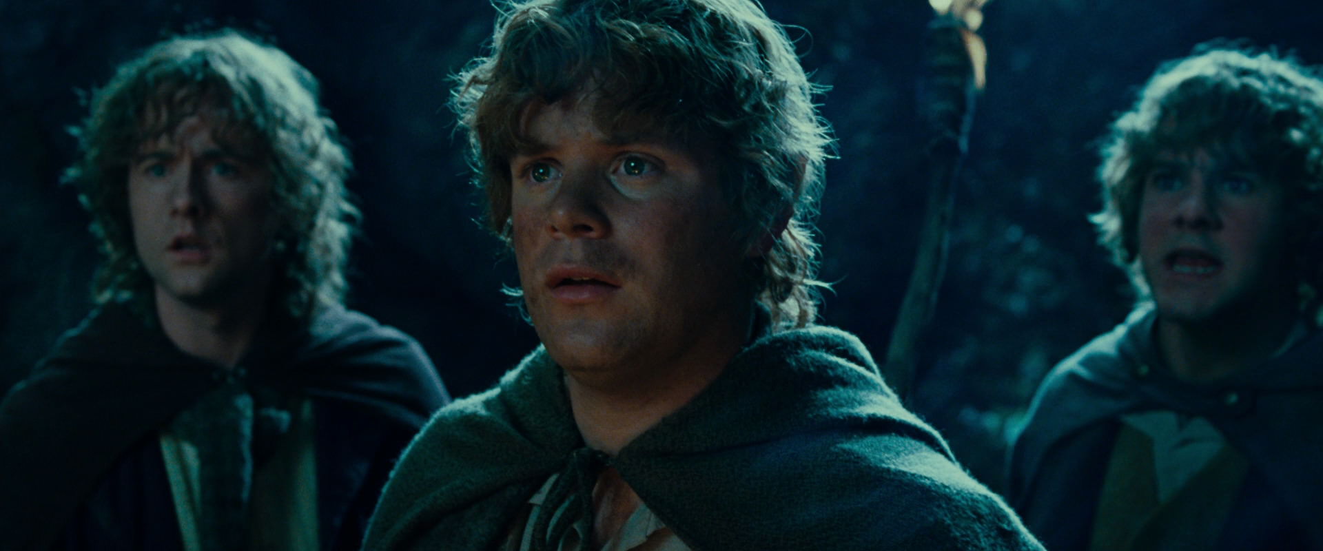 The Lord of the Rings: The Fellowship of the Ring (2001) screencap 9315