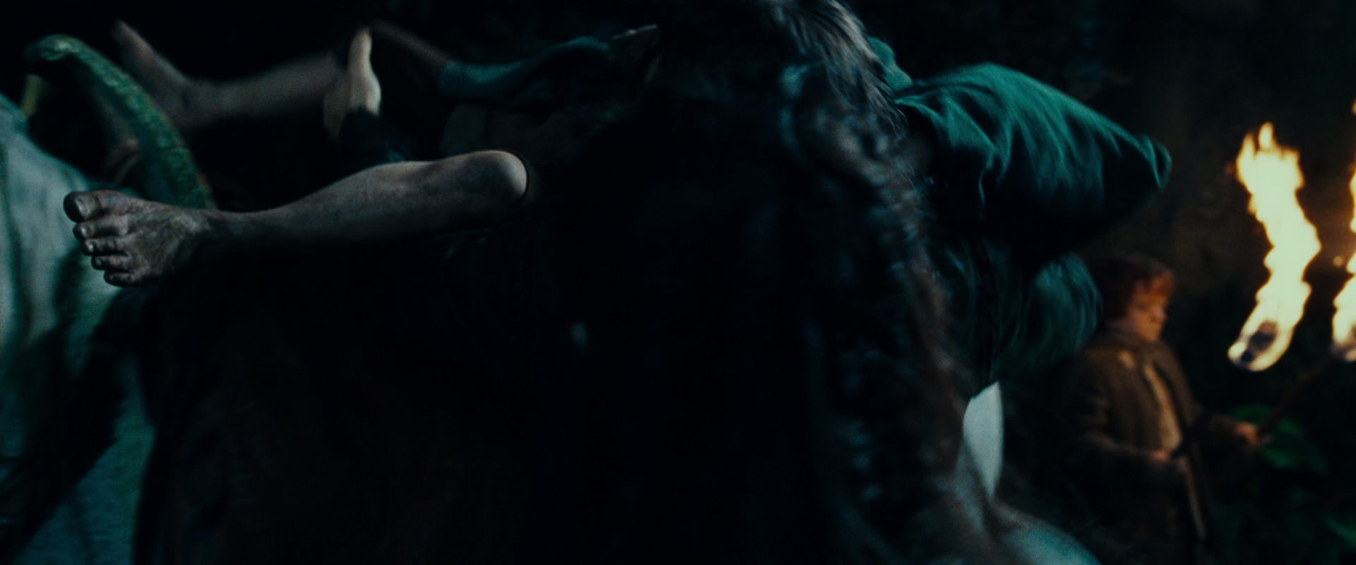 The Lord of the Rings: The Fellowship of the Ring (2001) screencap 9324
