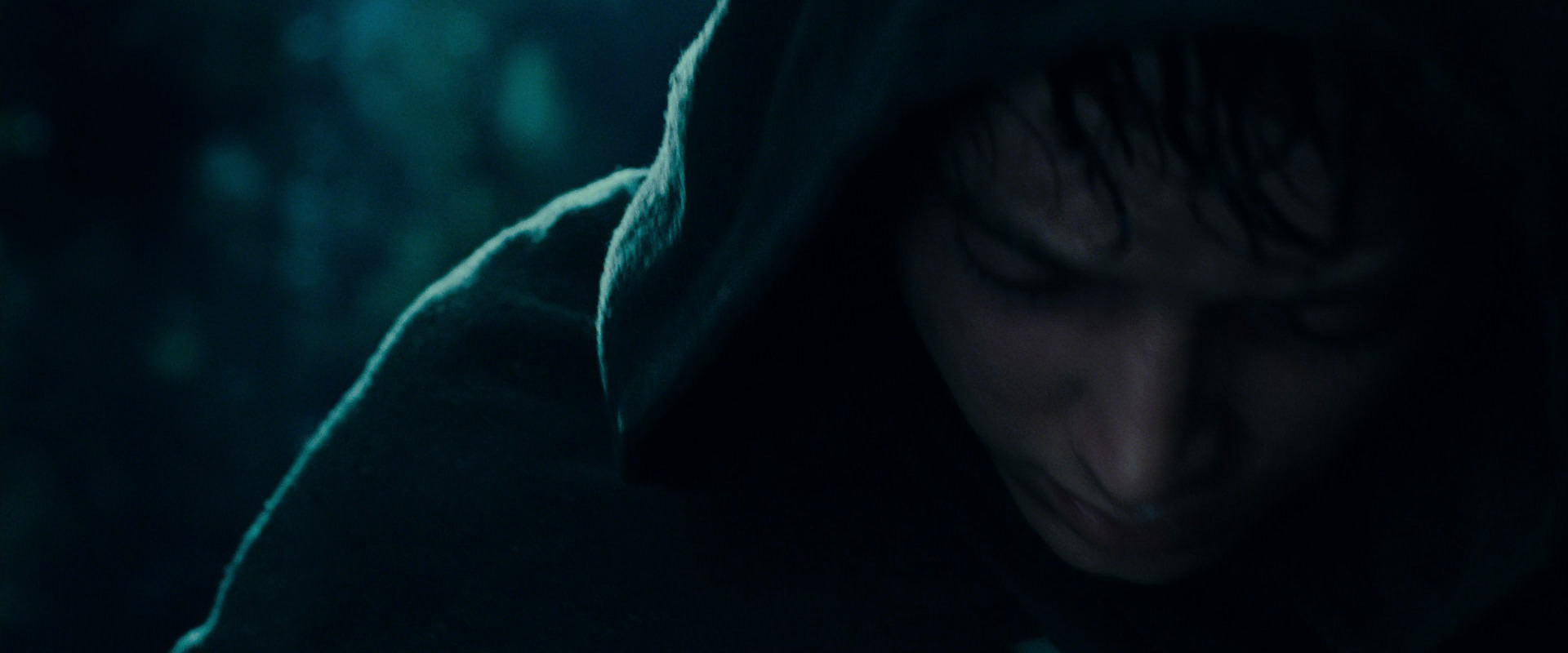 The Lord of the Rings: The Fellowship of the Ring (2001) movie still 9328