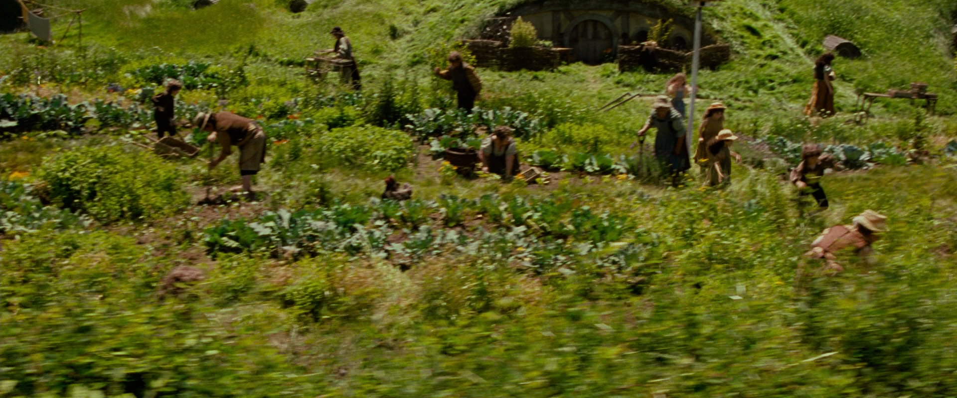 The Lord of the Rings: The Fellowship of the Ring (2001) screencap 933