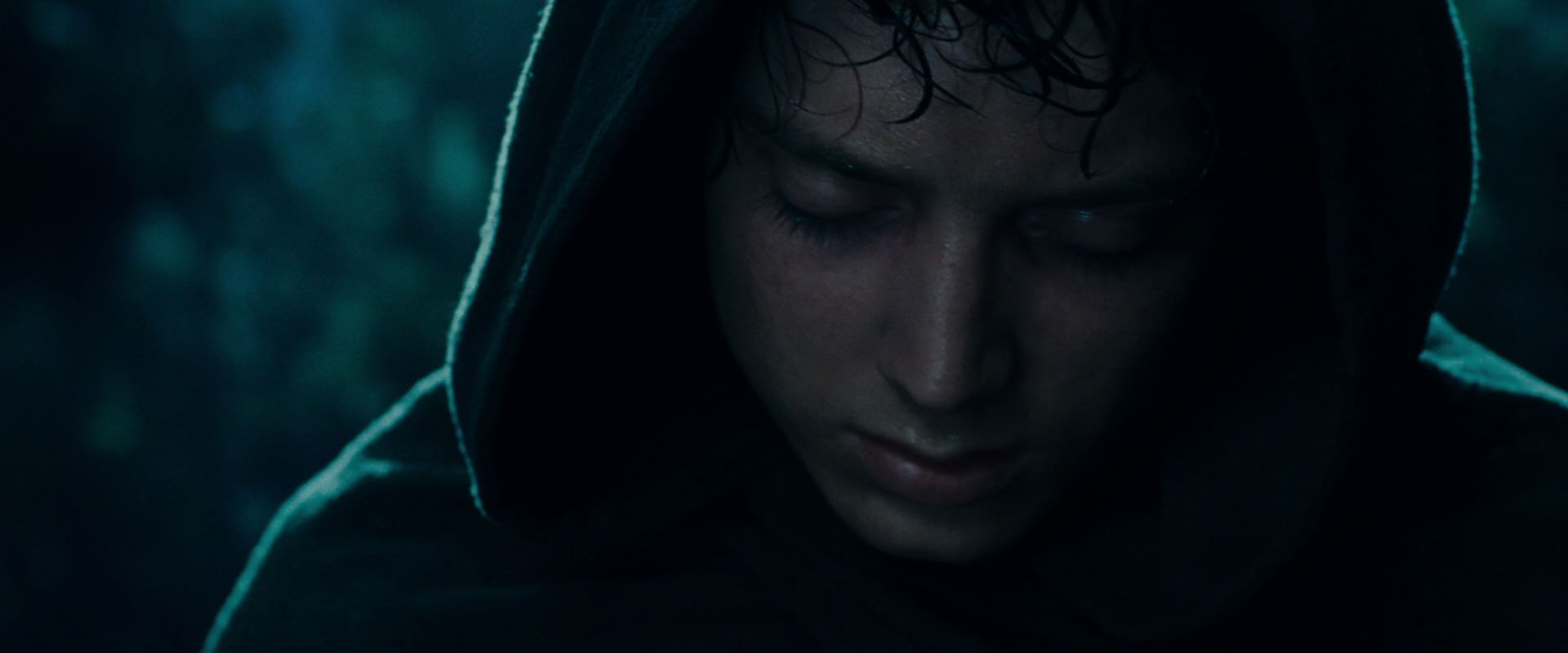 The Lord of the Rings: The Fellowship of the Ring (2001) screencap 9330