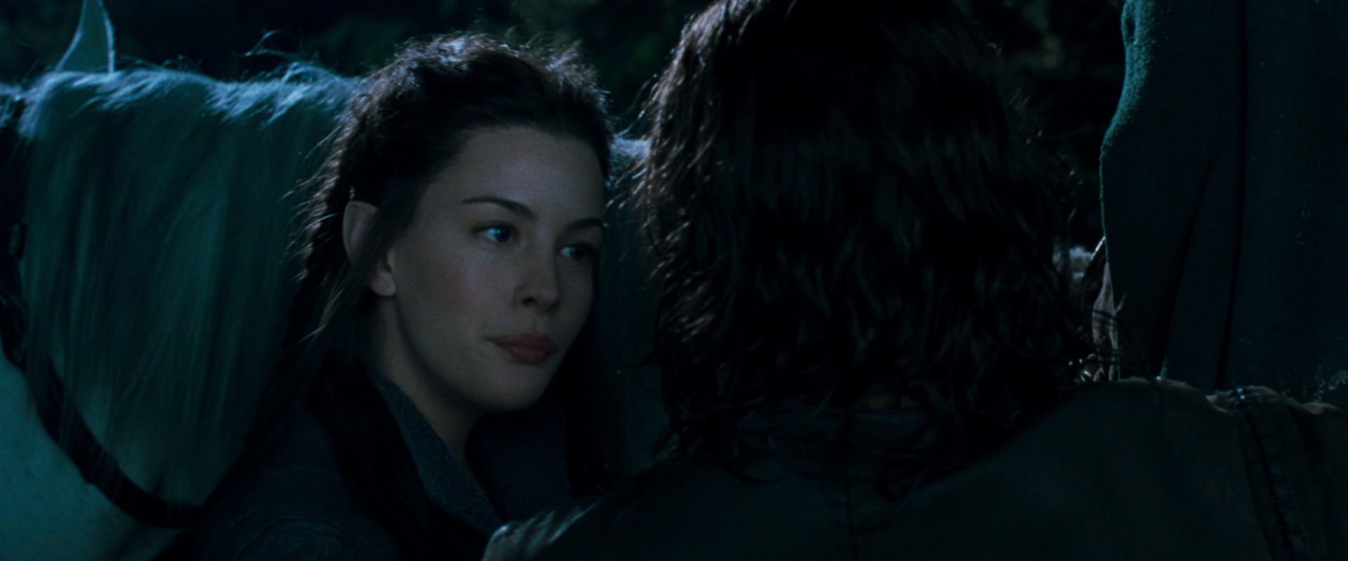 The Lord of the Rings: The Fellowship of the Ring (2001) movie still 9337