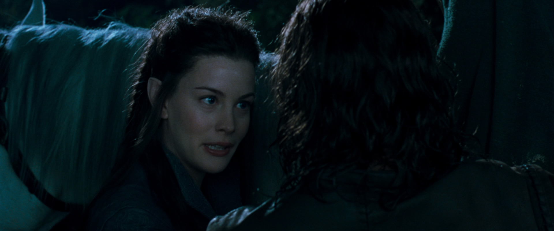 The Lord of the Rings: The Fellowship of the Ring (2001) screencap 9339