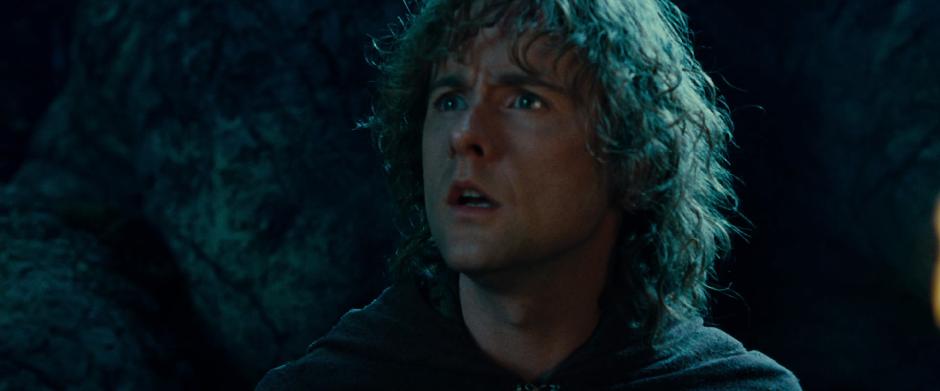 The Lord of the Rings: The Fellowship of the Ring (2001) screencap 9345