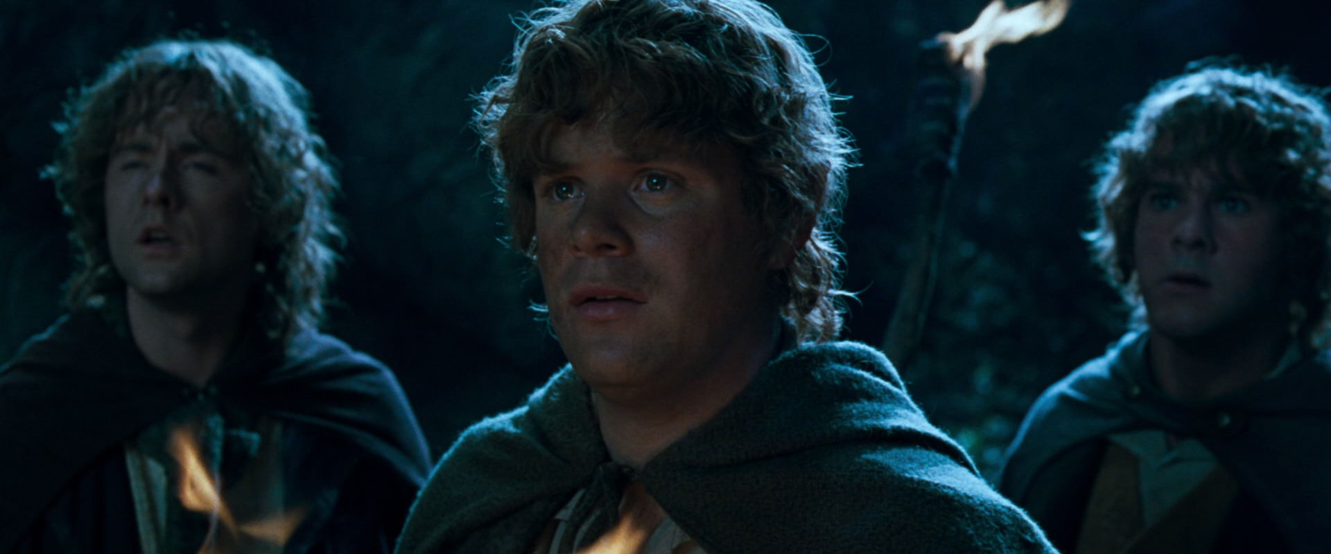 The Lord of the Rings: The Fellowship of the Ring (2001) screencap 9348