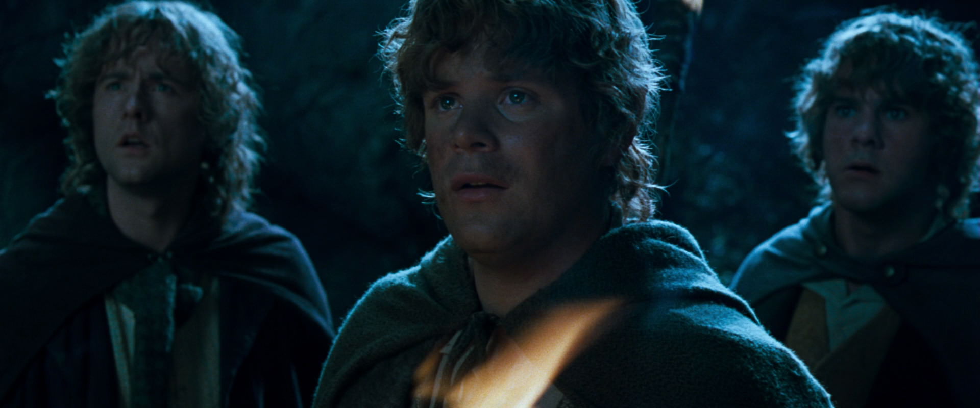 The Lord of the Rings: The Fellowship of the Ring (2001) screencap 9351