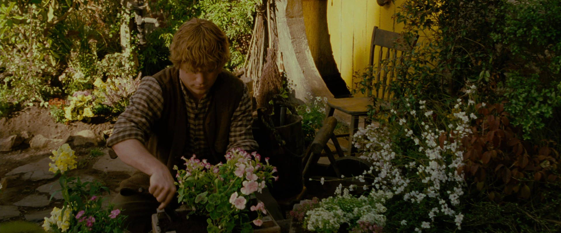 The Lord of the Rings: The Fellowship of the Ring (2001) screencap 936