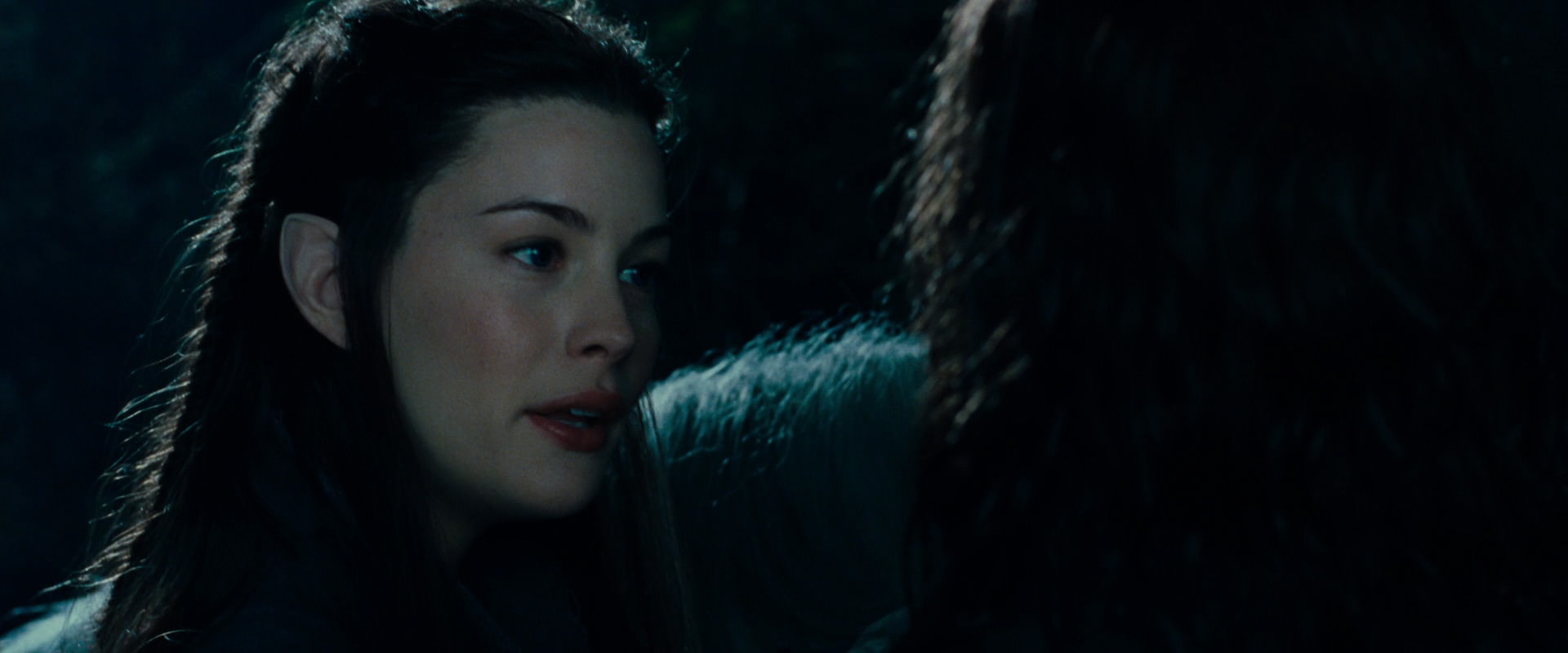 The Lord of the Rings: The Fellowship of the Ring (2001) screencap 9360