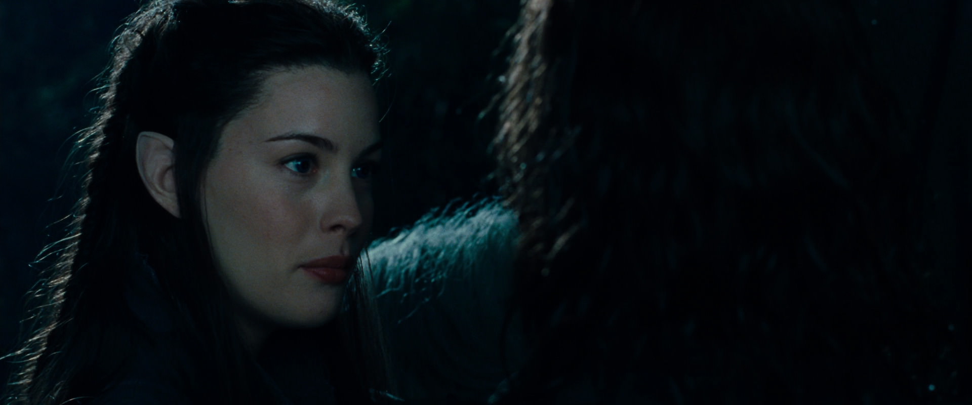 The Lord of the Rings: The Fellowship of the Ring (2001) HD screenshot 9362