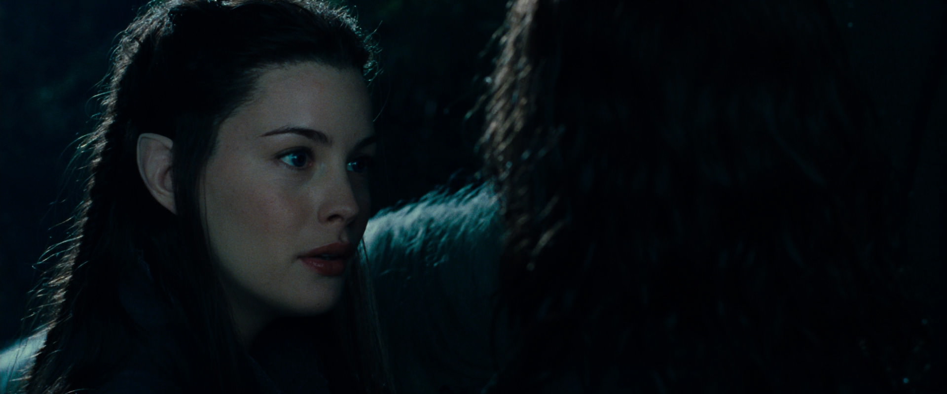 The Lord of the Rings: The Fellowship of the Ring (2001) screencap 9363