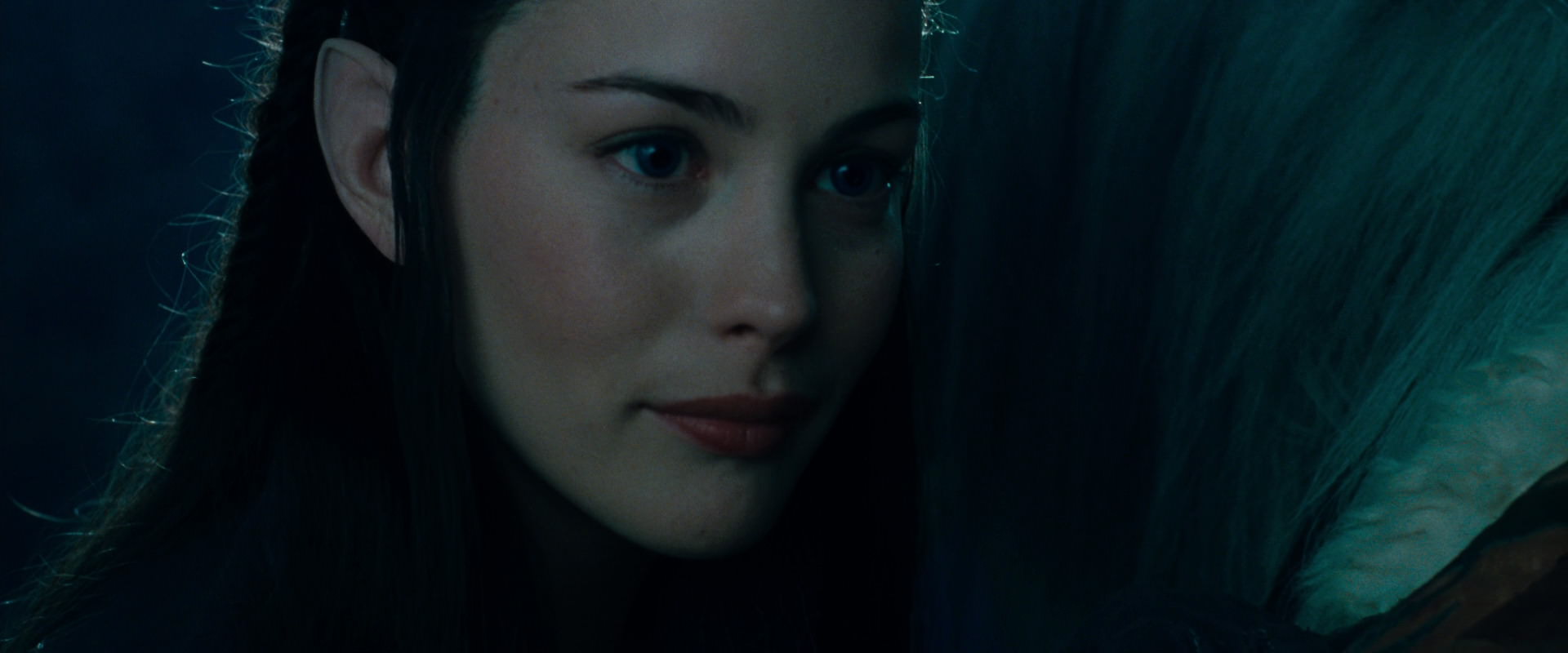 The Lord of the Rings: The Fellowship of the Ring (2001) screencap 9375