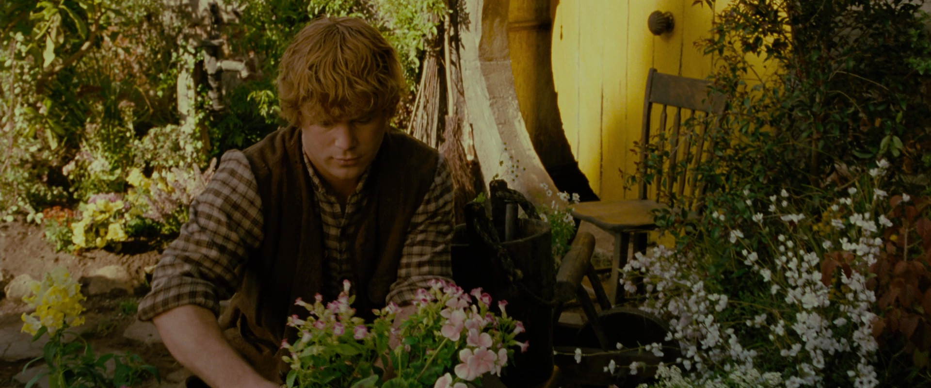 The Lord of the Rings: The Fellowship of the Ring (2001) HD screenshot 938
