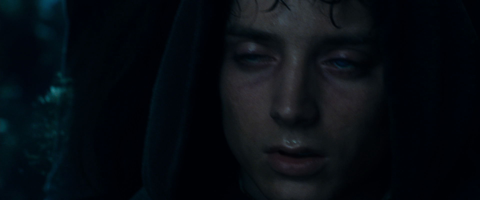 The Lord of the Rings: The Fellowship of the Ring (2001) screencap 9384