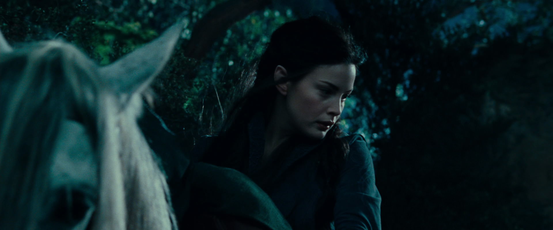 The Lord of the Rings: The Fellowship of the Ring (2001) movie still 9388