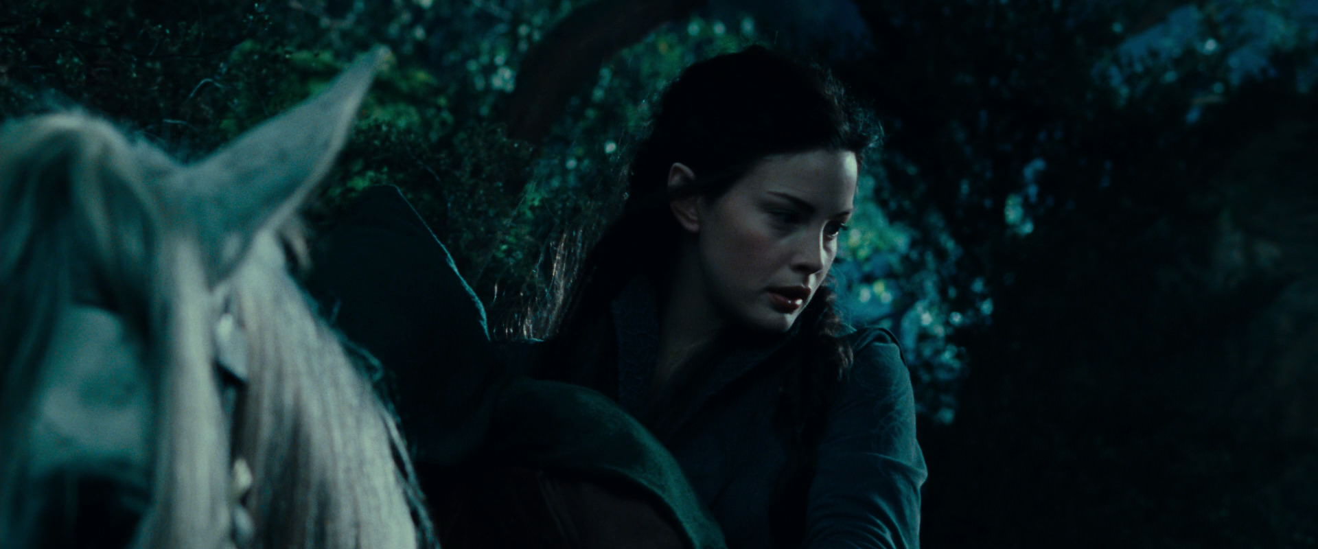 The Lord of the Rings: The Fellowship of the Ring (2001) HD screenshot 9389