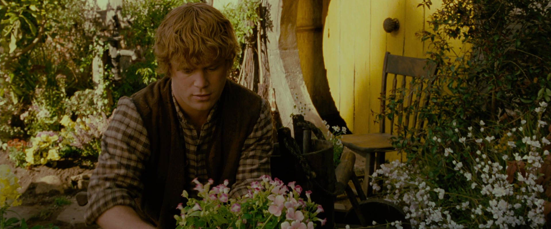 The Lord of the Rings: The Fellowship of the Ring (2001) screencap 939