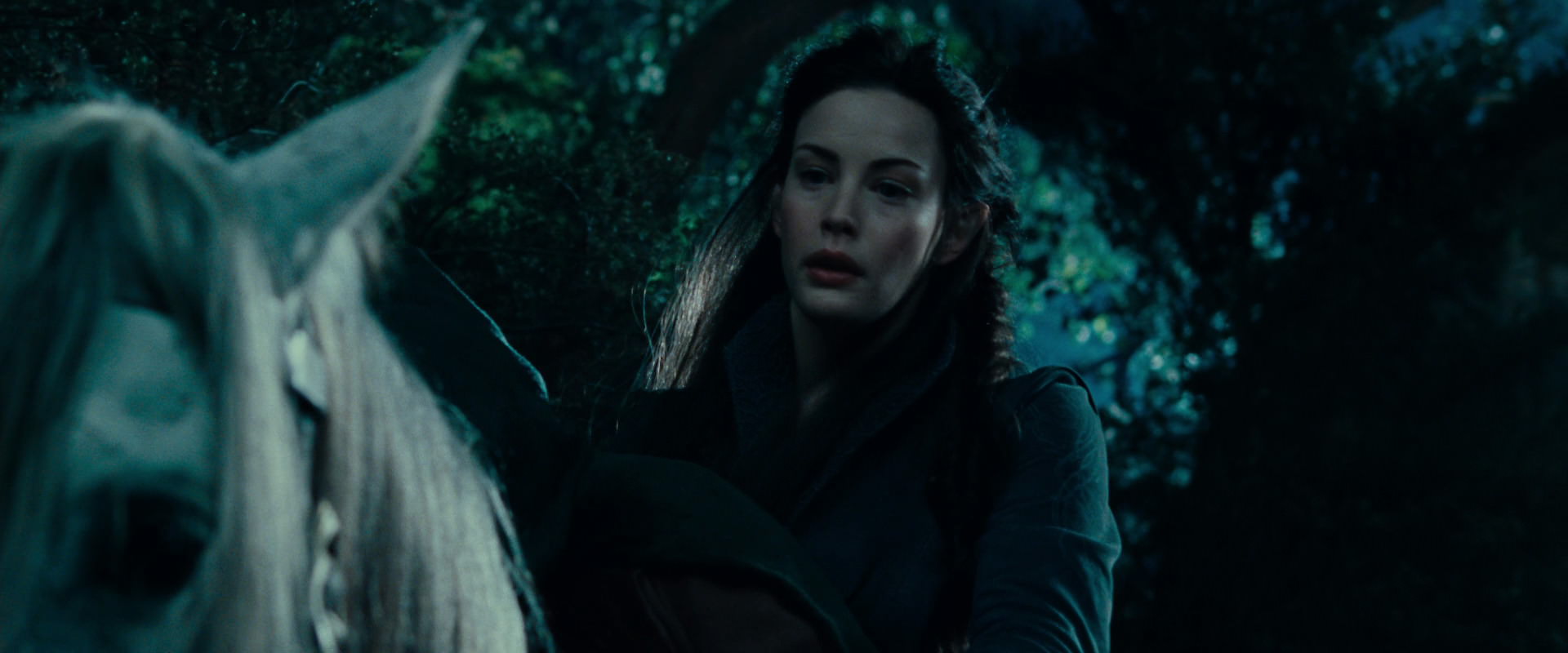 The Lord of the Rings: The Fellowship of the Ring (2001) screencap 9390
