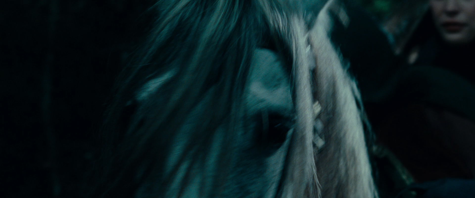 The Lord of the Rings: The Fellowship of the Ring (2001) HD screenshot 9392