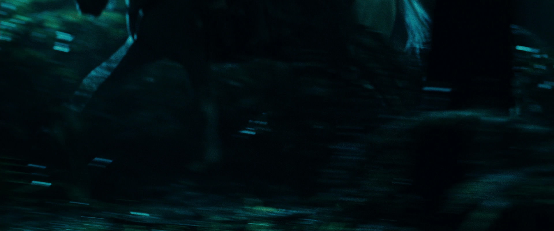 The Lord of the Rings: The Fellowship of the Ring (2001) screencap 9399