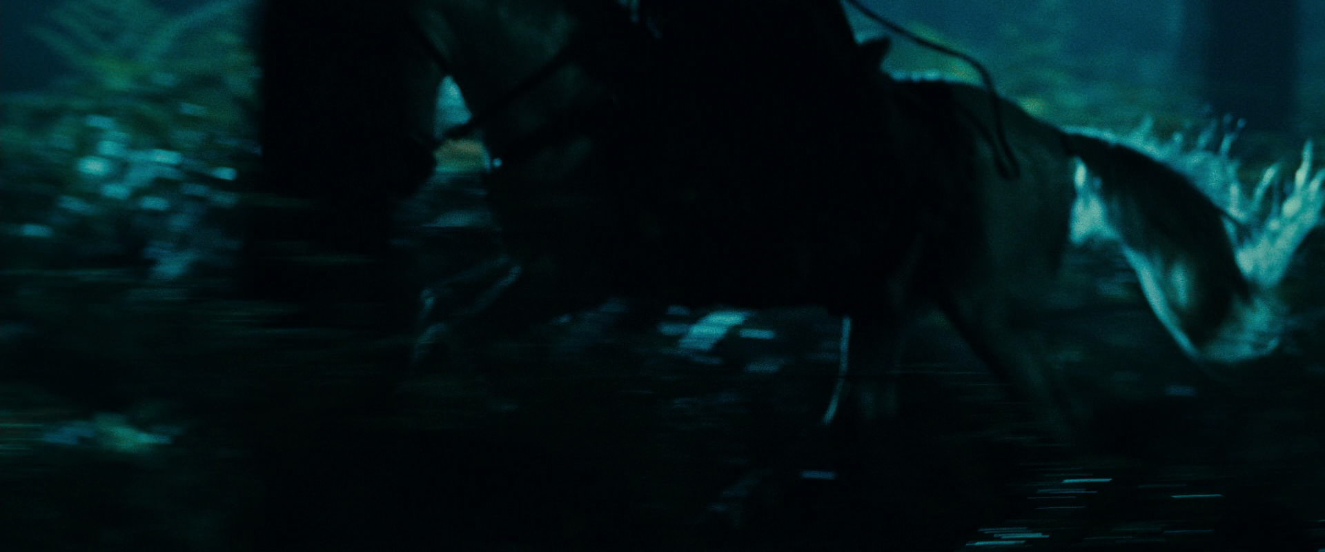 The Lord of the Rings: The Fellowship of the Ring (2001) movie still 9400