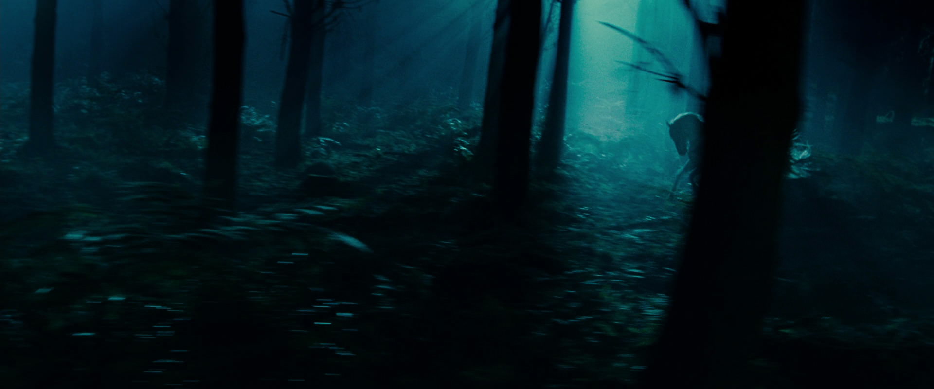 The Lord of the Rings: The Fellowship of the Ring (2001) screencap 9402