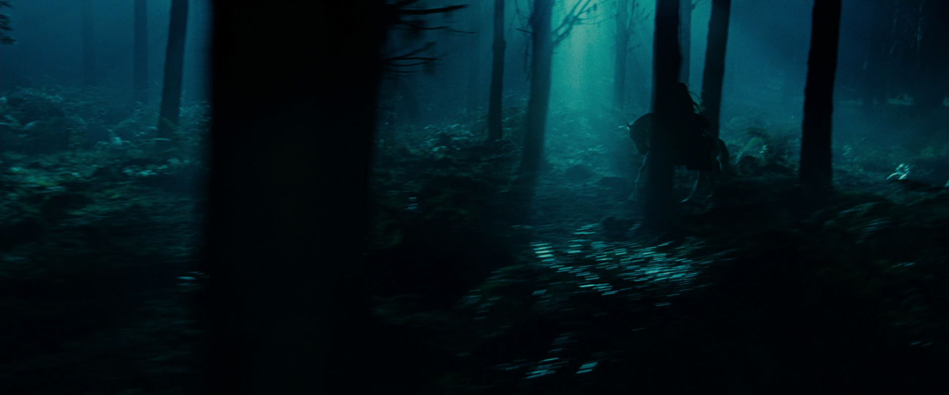 The Lord of the Rings: The Fellowship of the Ring (2001) screencap 9405
