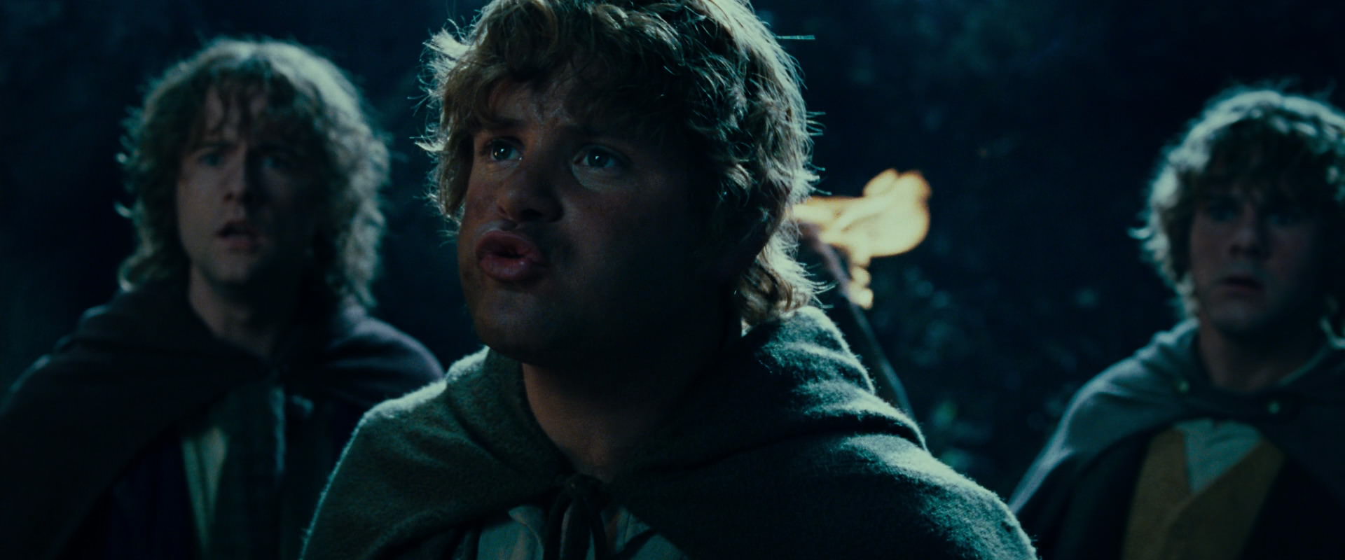 The Lord of the Rings: The Fellowship of the Ring (2001) movie still 9406