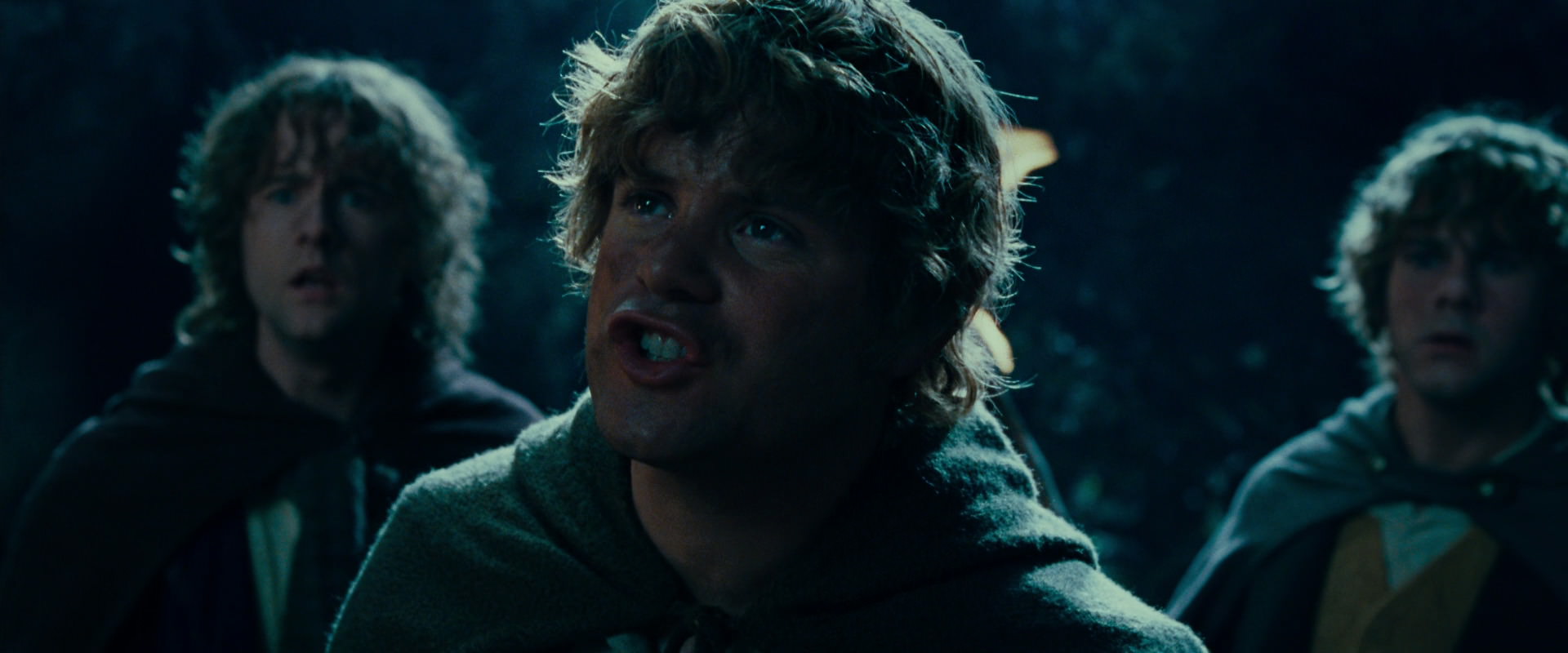 The Lord of the Rings: The Fellowship of the Ring (2001) HD screenshot 9407