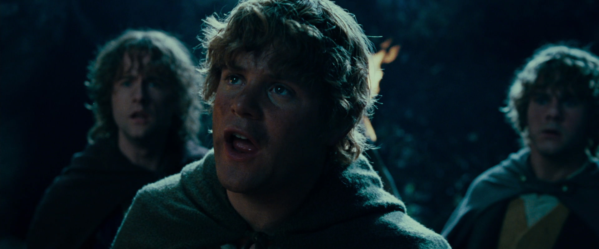 The Lord of the Rings: The Fellowship of the Ring (2001) screencap 9408