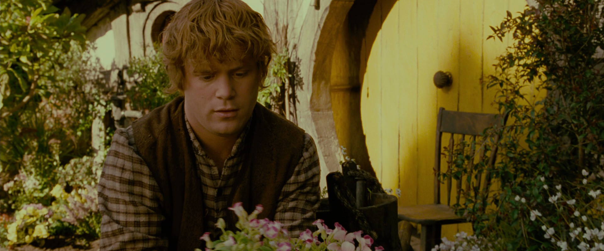 The Lord of the Rings: The Fellowship of the Ring (2001) HD screenshot 941