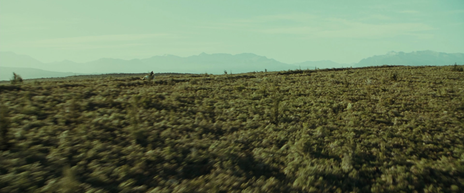 The Lord of the Rings: The Fellowship of the Ring (2001) screencap 9414