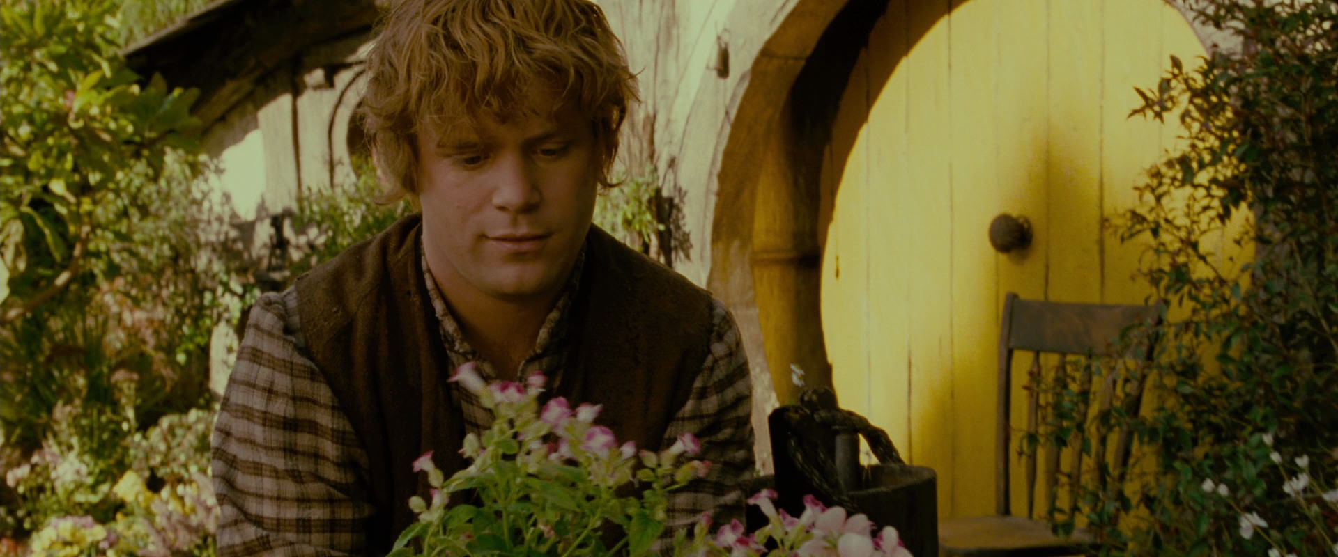 The Lord of the Rings: The Fellowship of the Ring (2001) screencap 942