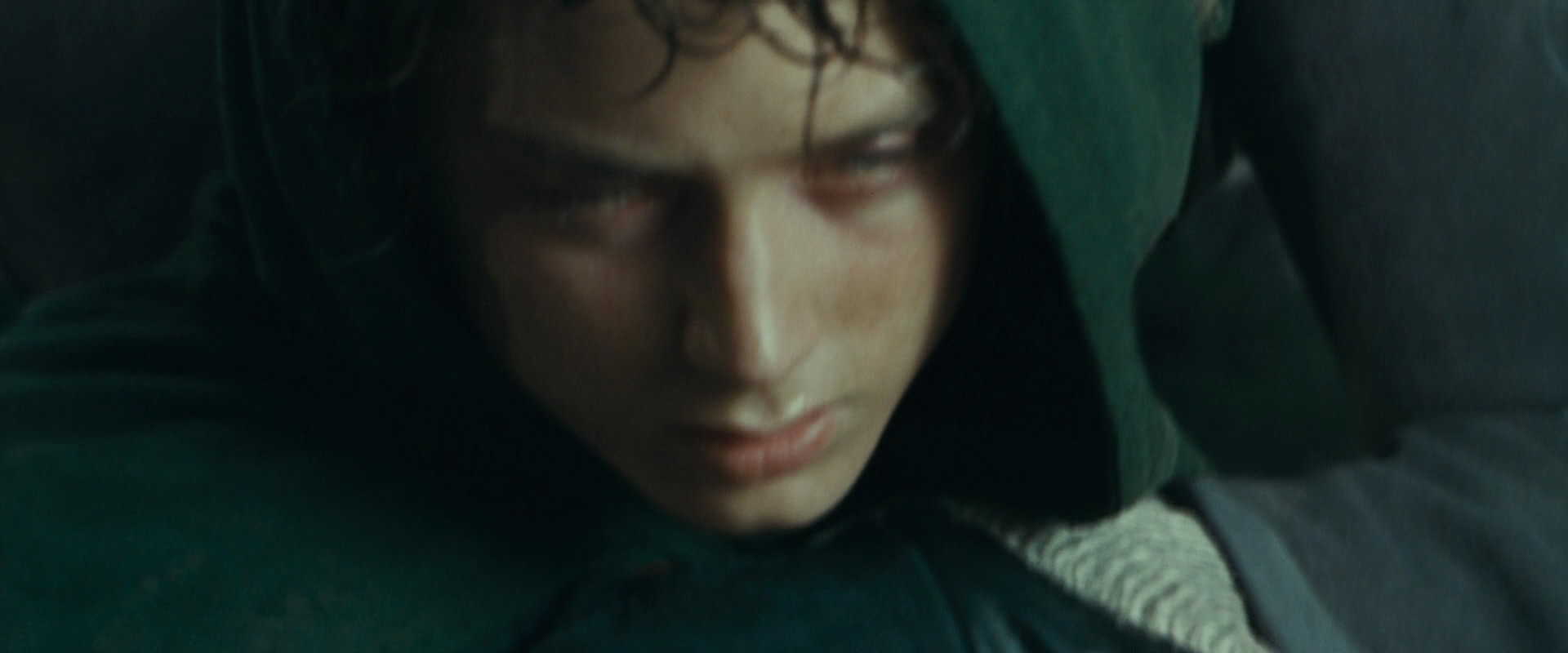 The Lord of the Rings: The Fellowship of the Ring (2001) screencap 9435