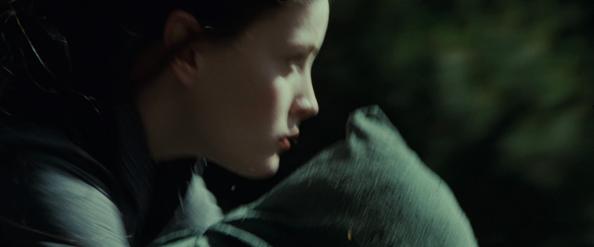 The Lord of the Rings: The Fellowship of the Ring (2001) HD screenshot 9437