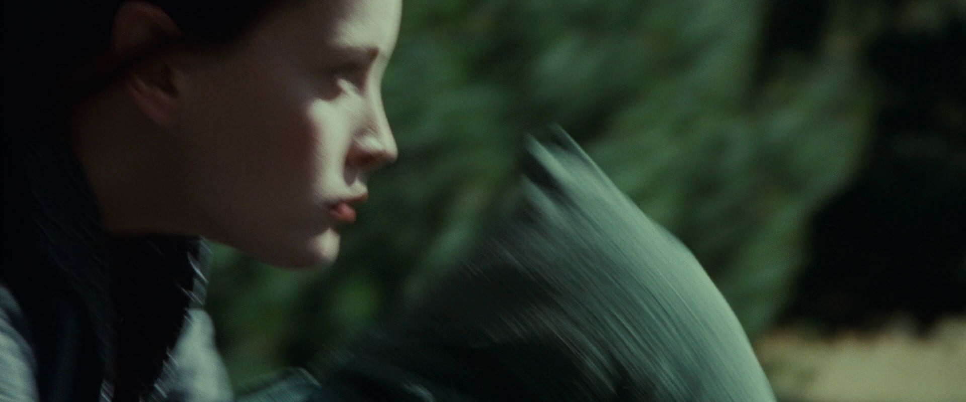 The Lord of the Rings: The Fellowship of the Ring (2001) screencap 9438