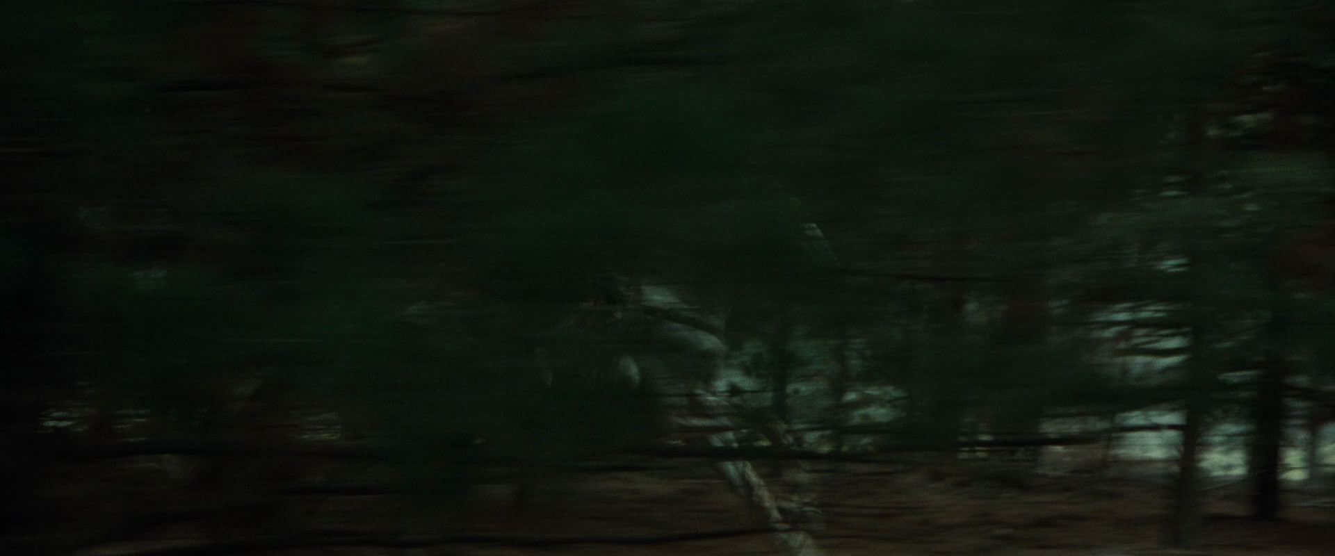 The Lord of the Rings: The Fellowship of the Ring (2001) movie still 9439