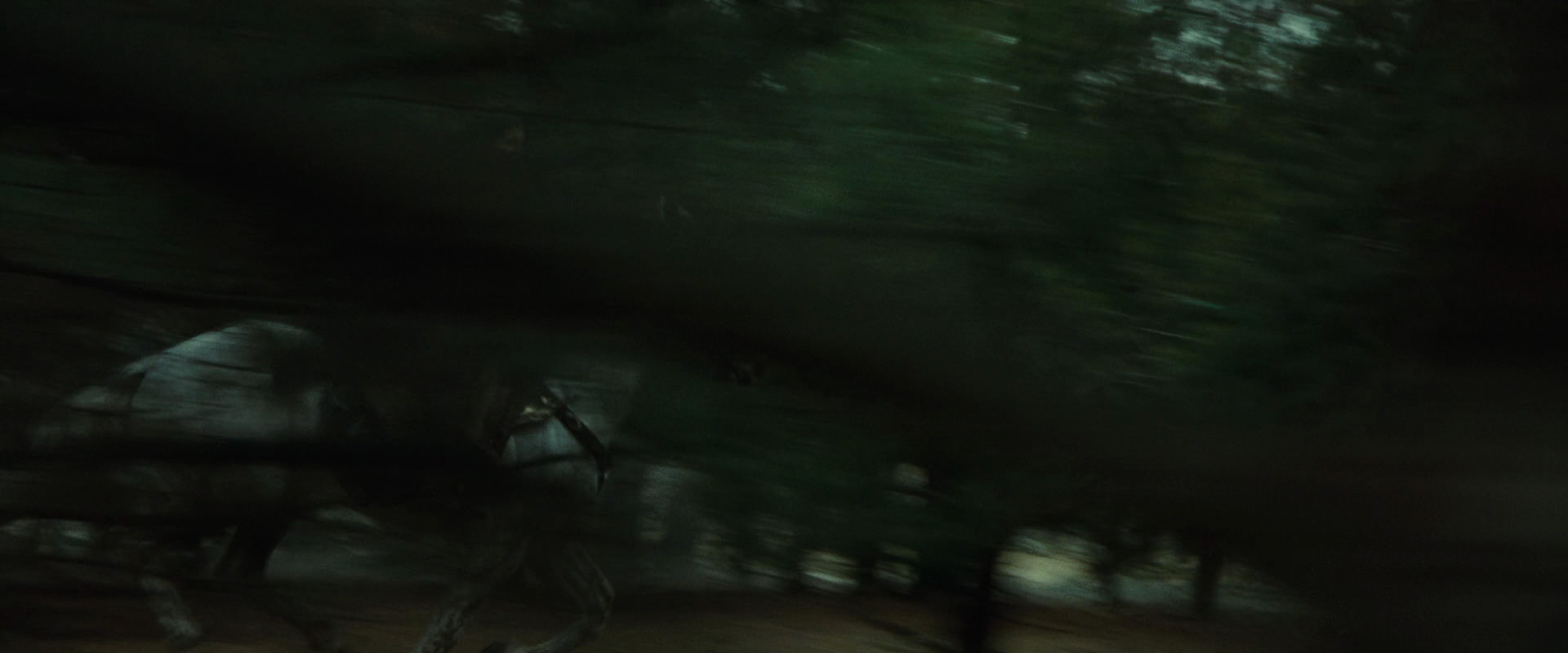 The Lord of the Rings: The Fellowship of the Ring (2001) screencap 9441