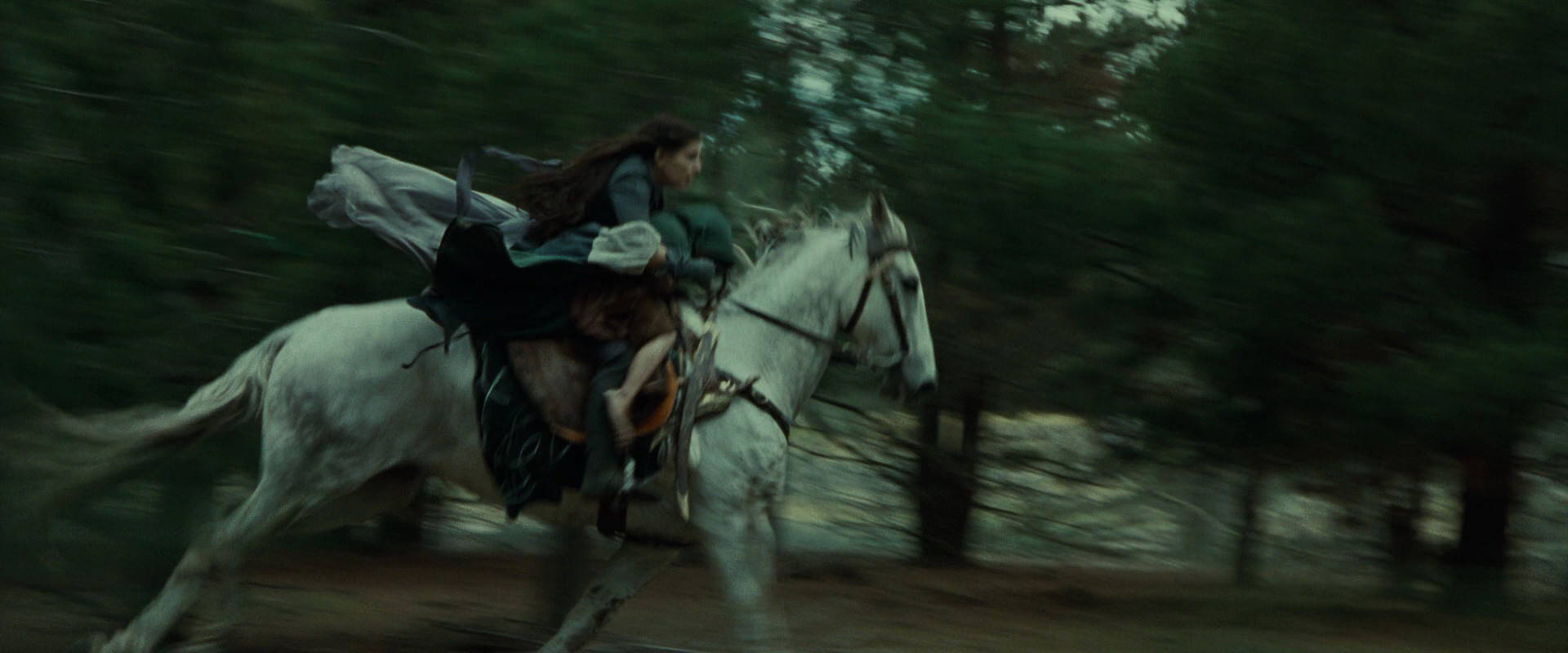 The Lord of the Rings: The Fellowship of the Ring (2001) movie still 9442